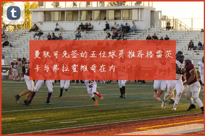 曼联可免签的五位球员推荐格雷茨卡与弗拉霍维奇在内